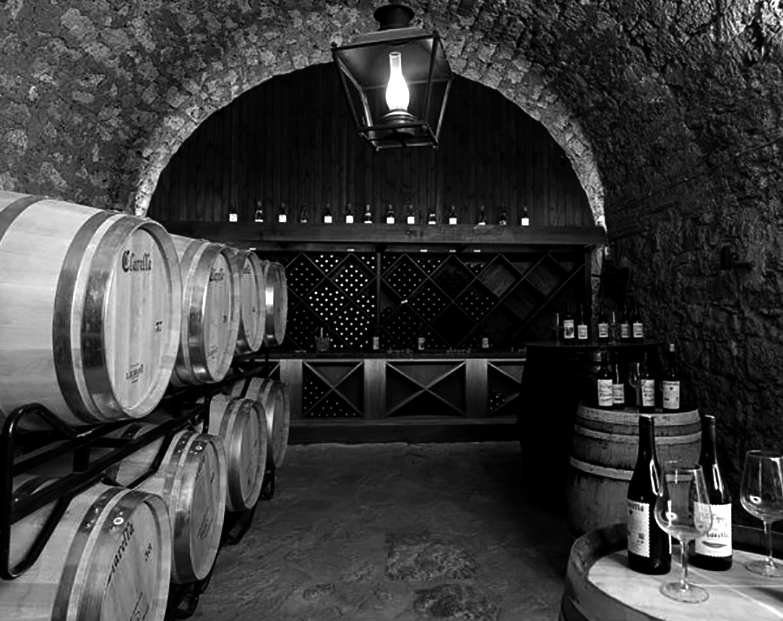 Celler de Clarella amb botes de vi
